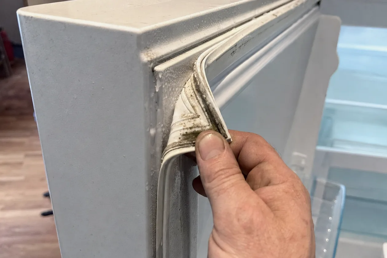 A door gasket held back from a damp cabinet frame, the kitchen behind it out of focus.